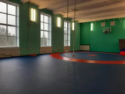Синий борцовский ролл-мат с красной круговой разметкой в спортзале школы с зелеными стенами