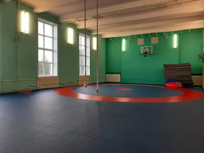 Синий борцовский ролл-мат с красной разметкой и канатами в спортзале школы "Корела" в Приозерске