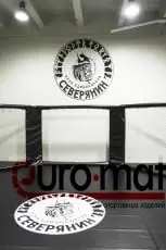 Чёрное виниловое покрытие с логотипом клуба Северянин внутри октагона ММА