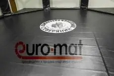 Чёрное виниловое покрытие с логотипом клуба внутри октагона Северянин