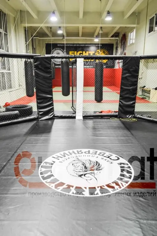 Вид изнутри октагона на зал с татами и грушами в клубе Северянин