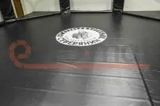 Тёмно-серый ролл-мат с логотипом Северянин внутри октагона ММА