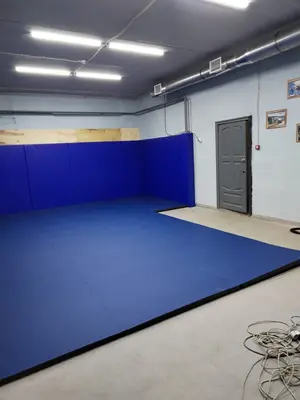 Синий ролл-мат и синие стеновые протекторы в зале ТГТУ в Тамбове
