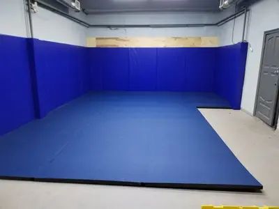 Синий ролл-мат и протекторы в зале единоборств ТГТУ — вид спереди