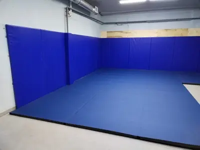 Синие стеновые протекторы и ролл-мат в зале ТГТУ — вид с угла