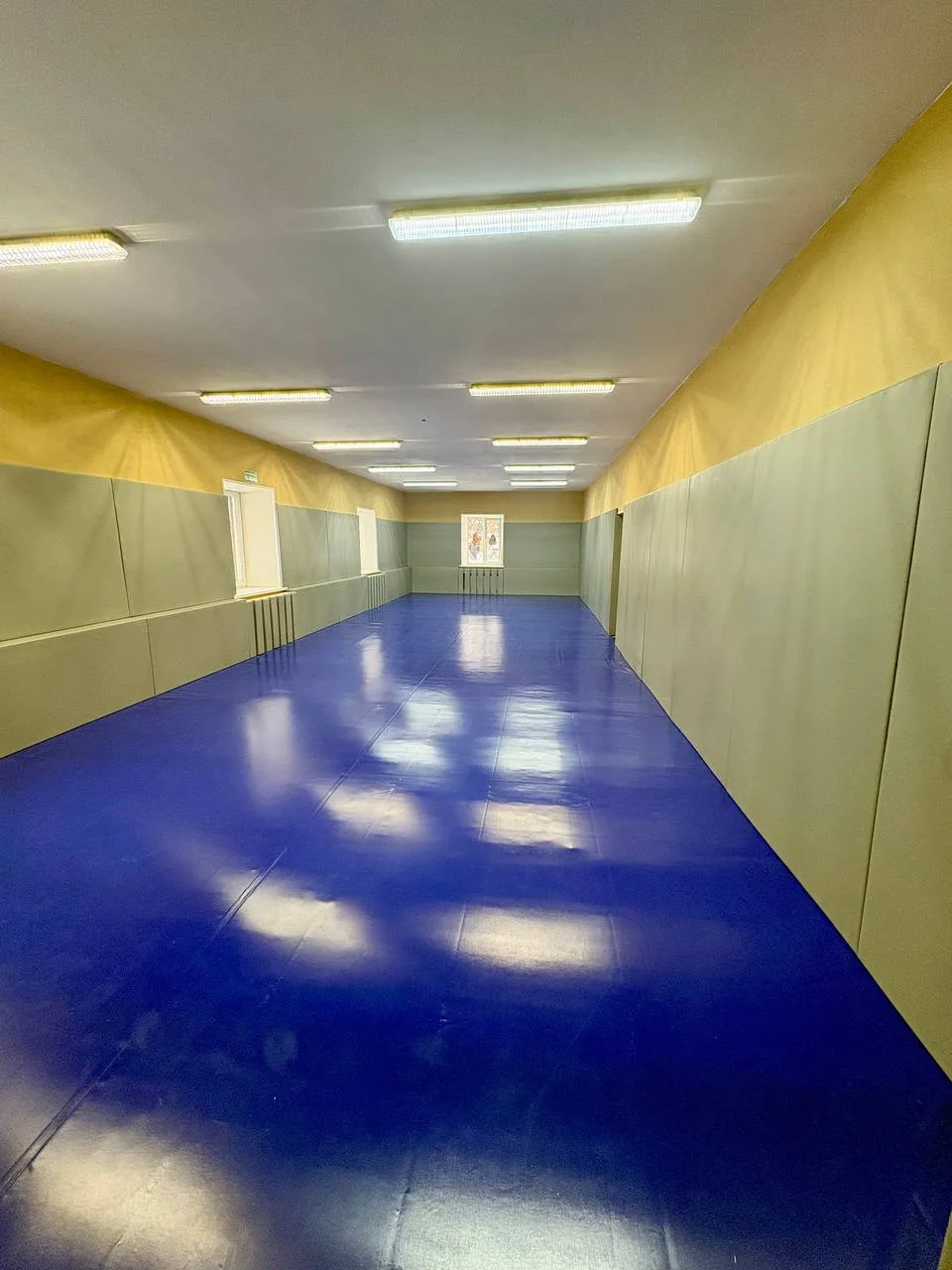 Зал борьбы с синим ролл-матом, серыми стеновыми протекторами и протекторами на радиаторы