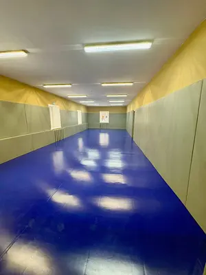 Зал борьбы с синим ролл-матом, серыми стеновыми протекторами и протекторами на радиаторы