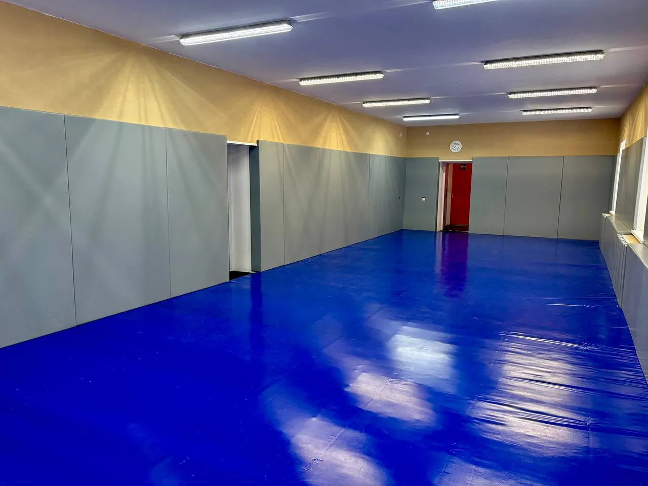 Панорамный вид спортивного зала Красный Электрик с защитными серыми протекторами