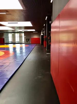 Красные стеновые протекторы вдоль стены зала с борцовским ковром и боксёрскими грушами