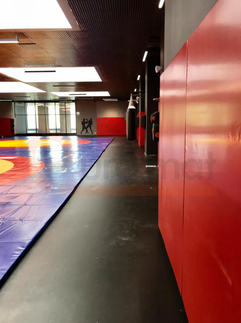 Красные стеновые протекторы вдоль стены с боксёрскими мешками и борцовский ковёр на полу в зале единоборств в Москве