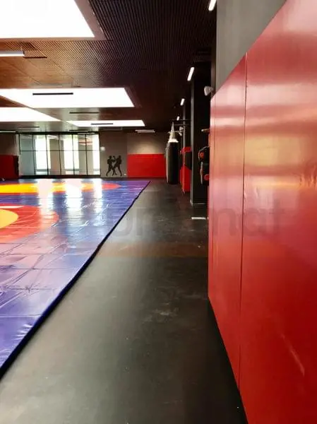 Красные стеновые протекторы вдоль стены с боксёрскими мешками и борцовский ковёр на полу в зале единоборств в Москве