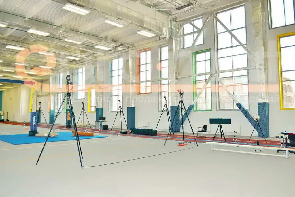 Синие протекторы на колоннах в большом спортзале с оборудованием