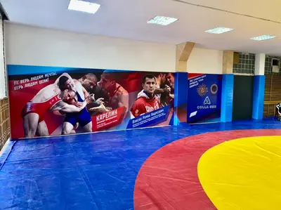 Протекторы с портретами Карелина и Власова, борцовский ковер с желтой и красной зонами в Липецке