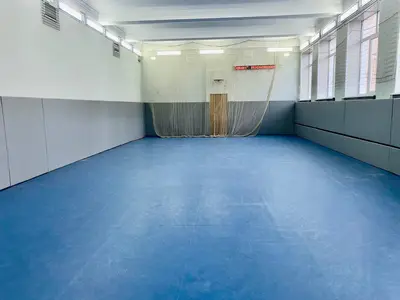 Серые стеновые протекторы вдоль стены спортзала футбольной академии с сетками и трибунами