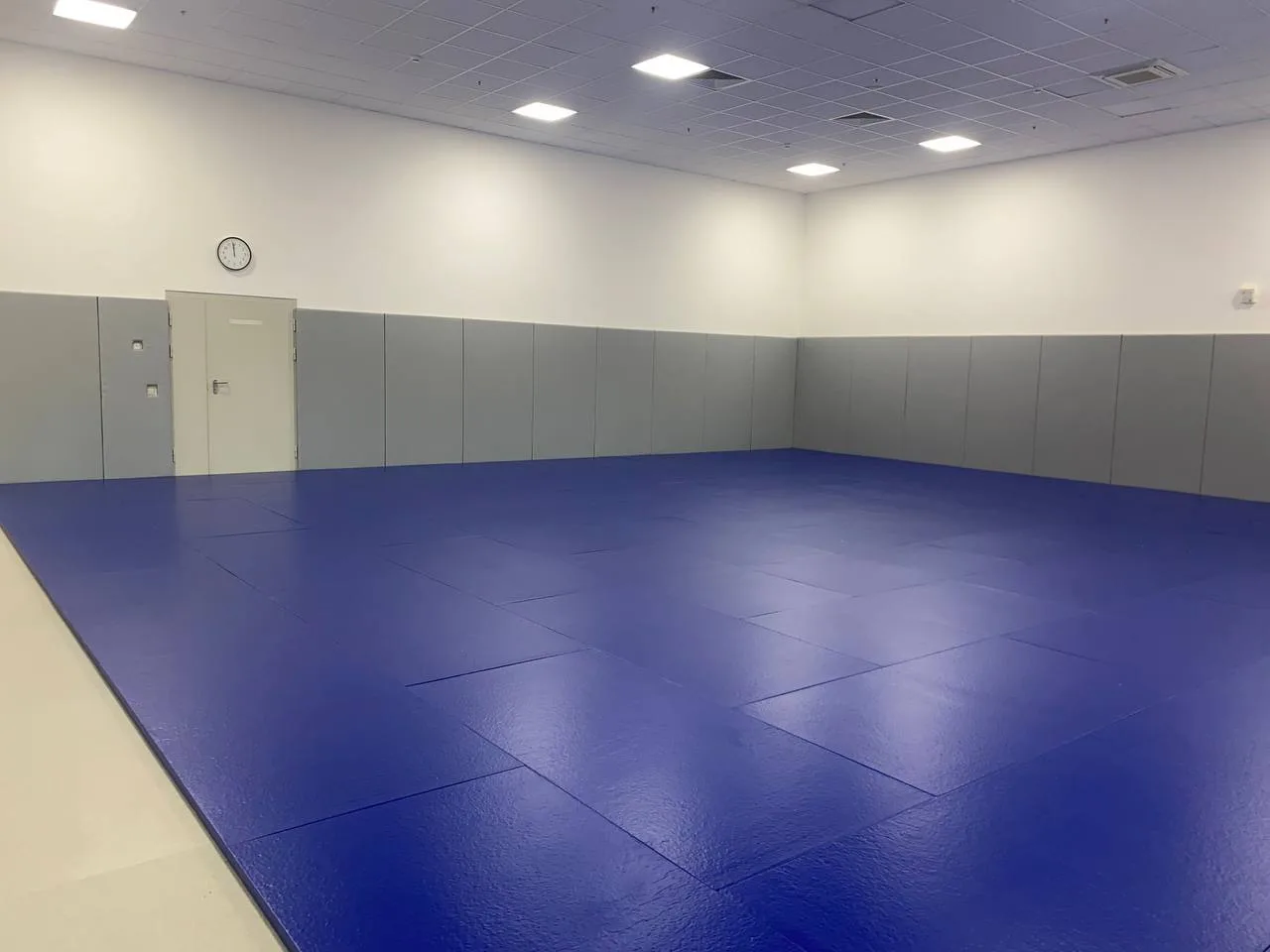 Боксер в перчатках во время тренировки на синих татами, стена защищена серым стеновым протектором