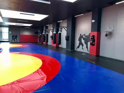 Зал единоборств с красными стеновыми протекторами на колоннах и борцовским ковром на полу