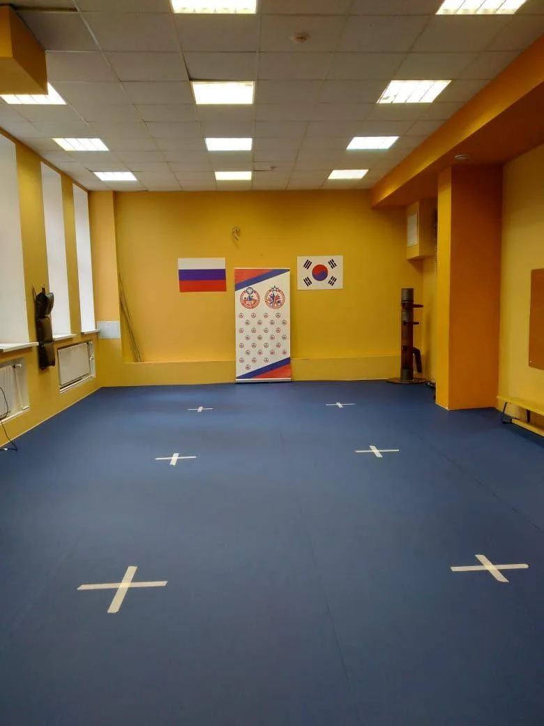 Синие татами с белой разметкой крестами в зале единоборств с флагами России и Кореи