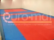Татами красно-синие в зале единоборств ДЮСШ Казани, два тренировочных поля