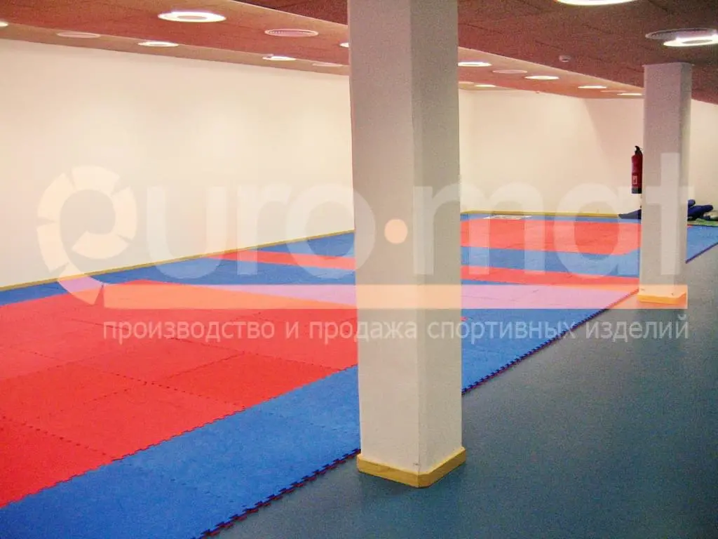 Зал ДЮСШ Казани с красно-синими татами, вид с колоннами и двумя полями