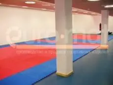 Зал ДЮСШ Казани с красно-синими татами, вид с колоннами и двумя полями