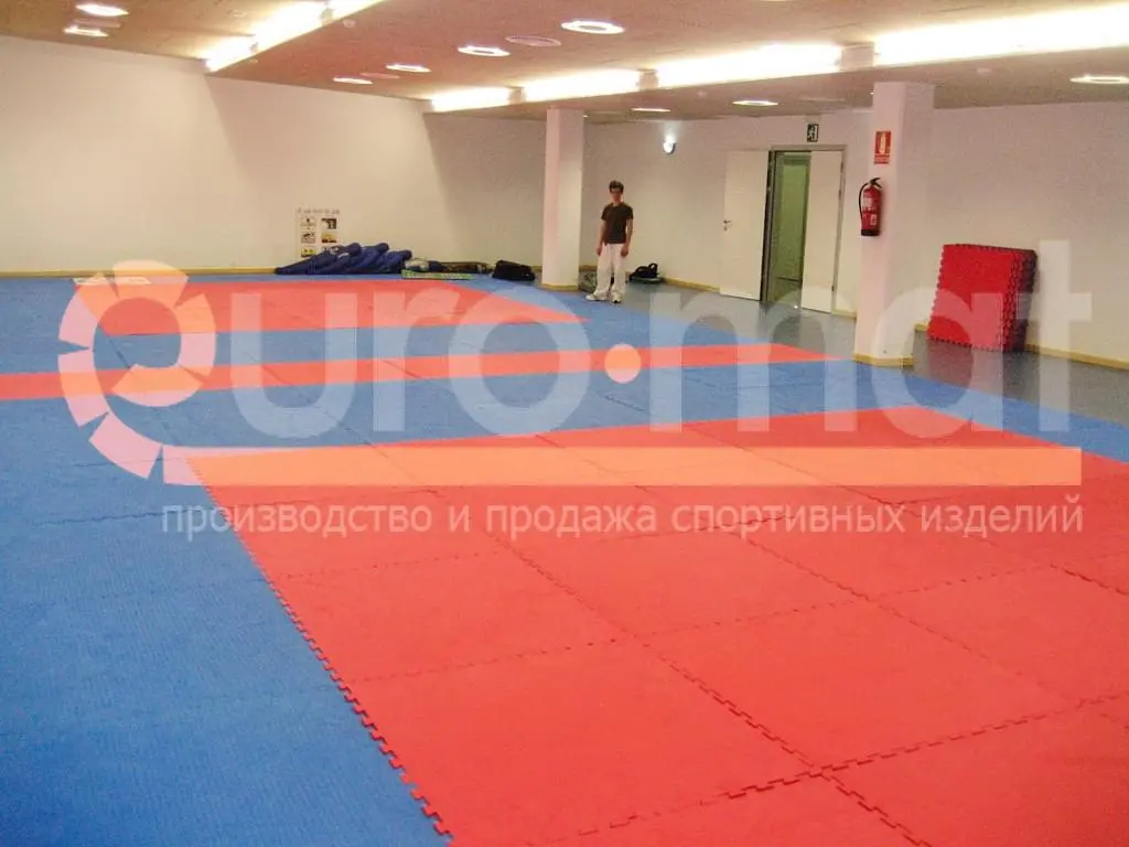 Синие и красные татами в зале ДЮСШ Казани, человек на ковре и стопка матов