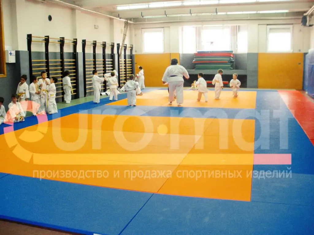 Дети в кимоно на оранжево-синих татами в зале дзюдо ДЮСШ, стеновые протекторы