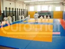 Дети в кимоно на оранжево-синих татами в зале дзюдо ДЮСШ, стеновые протекторы