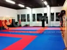 Сине-красные татами в бойцовском клубе с боксёрскими грушами и мешками