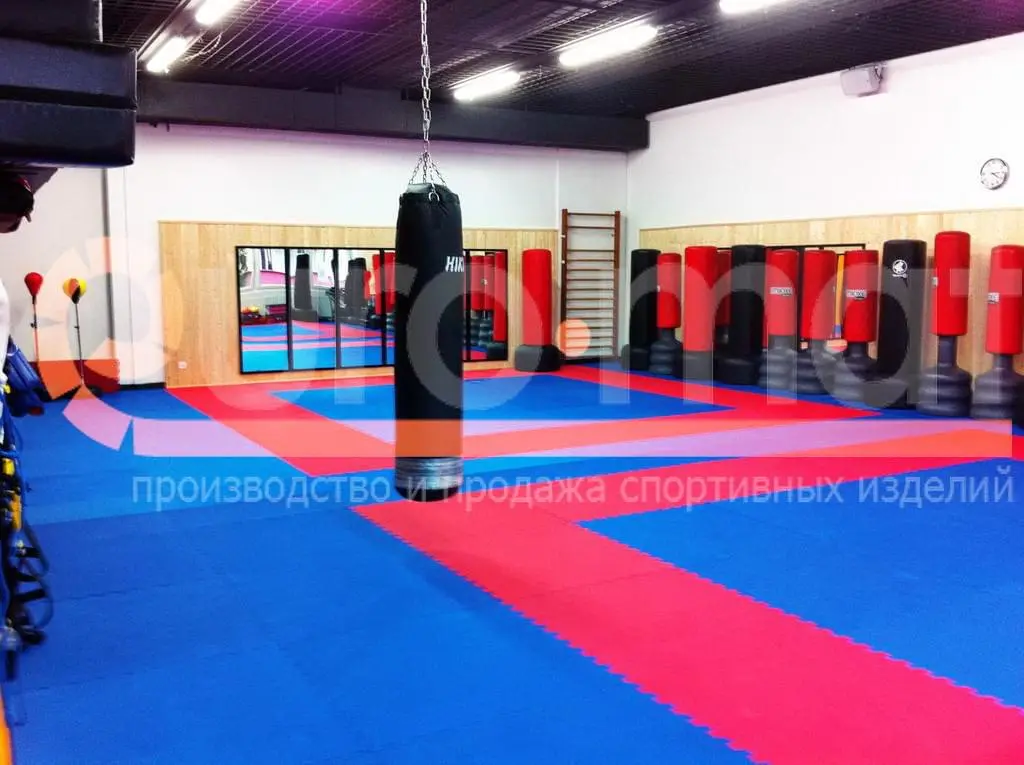 Бойцовский клуб с сине-красными татами, грушами и зеркалами на стенах
