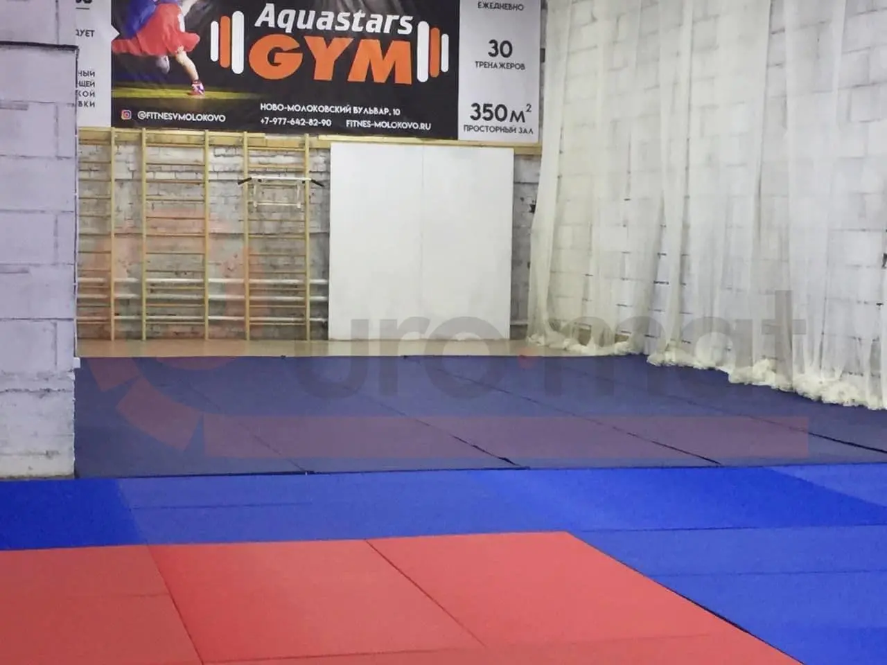 Татами красного и синего цвета в зале единоборств Aquastars GYM в Молоково с шведской стенкой