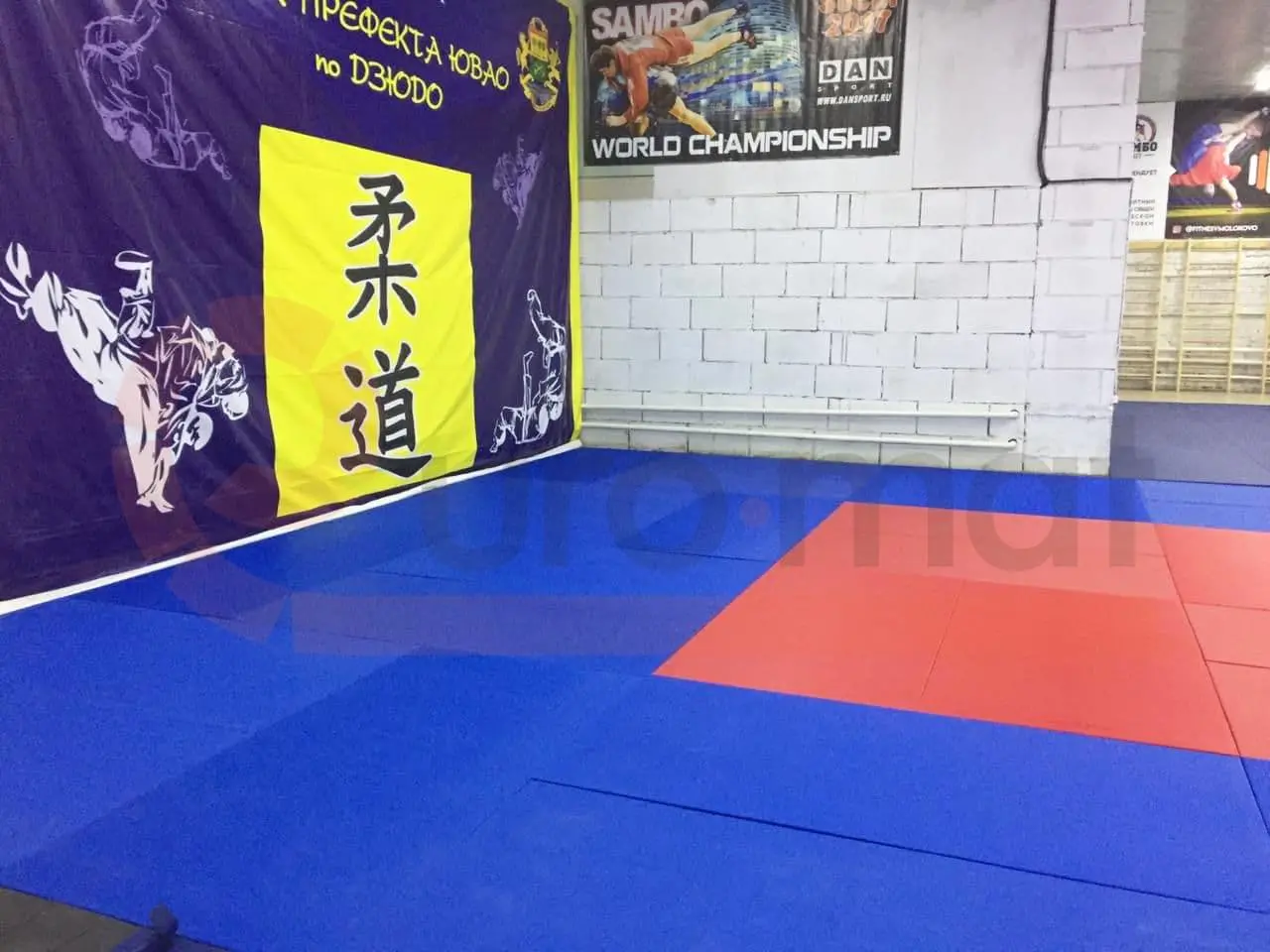 Татами синего и красного цвета в зале дзюдо и самбо с баннерами чемпионатов в Молоково
