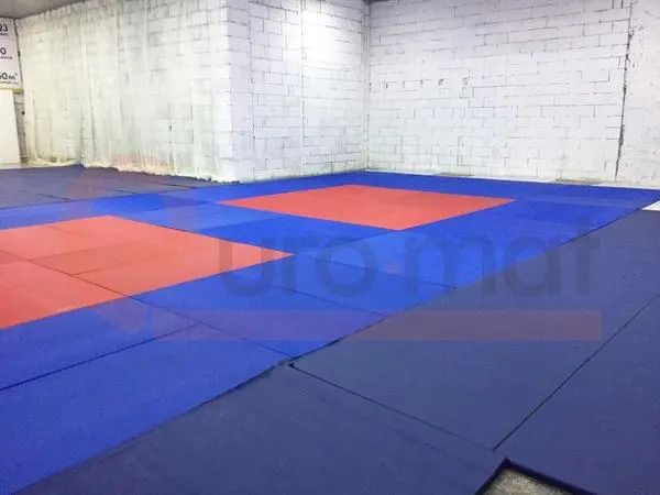 Татами синего и красного цвета с двумя тренировочными зонами в зале единоборств в Молоково