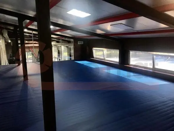 Синие татами в клубе боевых искусств с окнами и стеклянными перегородками, Москва
