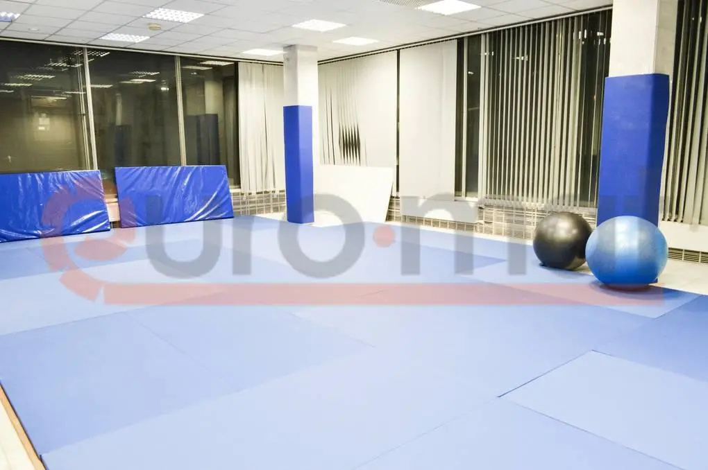 Синие татами на полу зала ИКИ РАН в Москве с защитой колонн и стеновыми матами