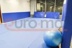 Синие татами и стеновые протекторы в зале ИКИ РАН, Москва