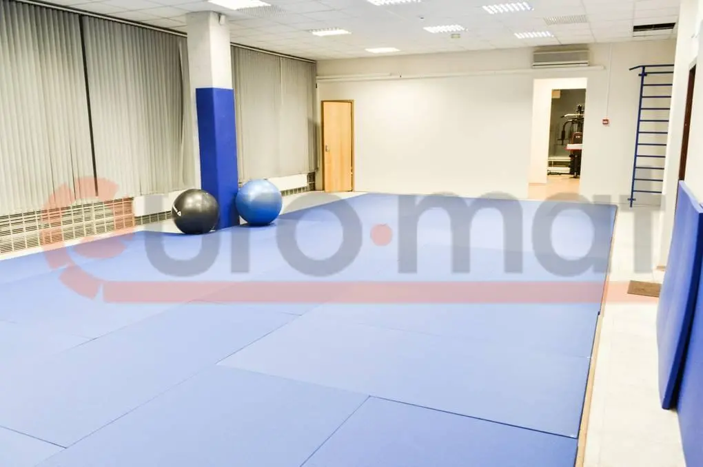 Зал единоборств ИКИ РАН с синими татами, защитой колонн и шведской стенкой