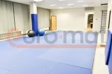 Зал единоборств ИКИ РАН с синими татами, защитой колонн и шведской стенкой