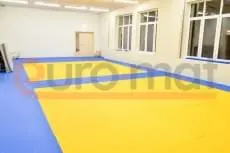 Жёлто-синие татами в зале дзюдо, вид сбоку с окнами и дверью
