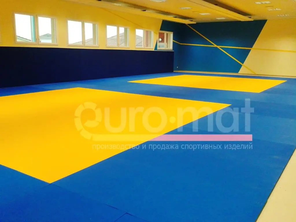 Сине-жёлтые татами с двумя тренировочными полями в клубе Комбат, Молдавия
