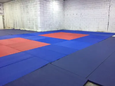 Синие и красные татами 40 мм на полу зала единоборств с кирпичными стенами