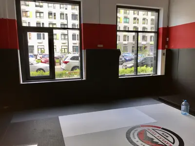 Зал Kaylas Team Junior с логотипом на татами и красно-чёрными протекторами, вид из окна