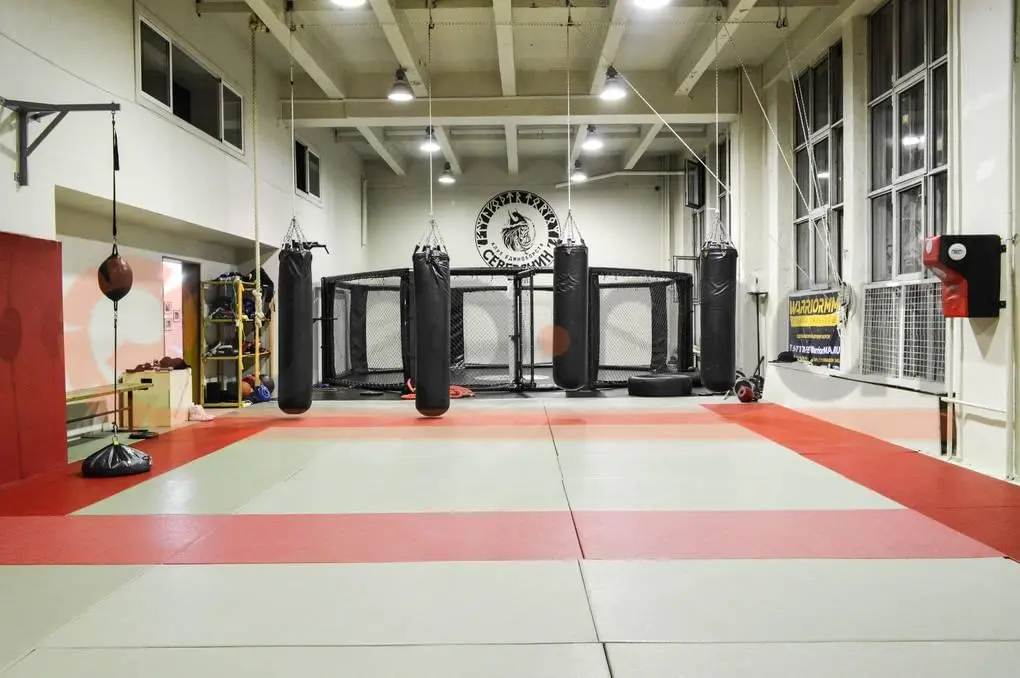 Красно-серые татами в клубе единоборств Северянин с октагоном ММА