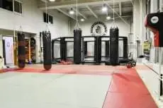 Красно-серые татами и октагон ММА в клубе Северянин, вид сбоку