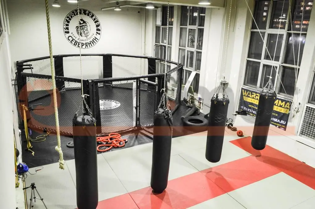 Вид сверху на клуб Северянин: красно-белые татами, октагон и груши