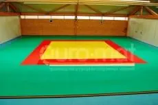 Зелёно-красно-жёлтые татами для дзюдо в спортзале Донецка с деревянным потолком