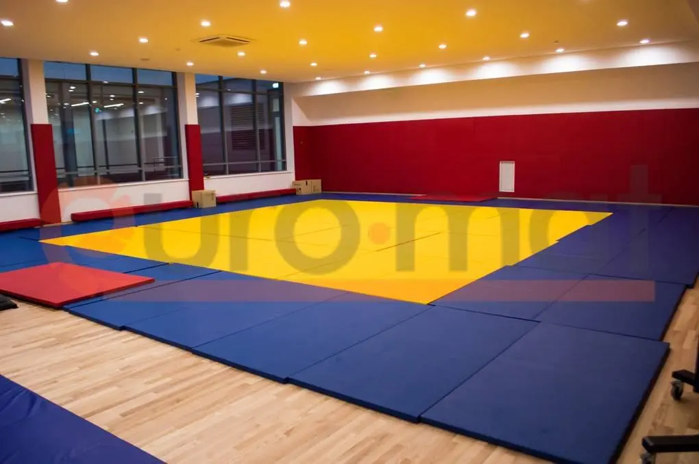 Татами жёлто-синие в современном зале единоборств с красными стеновыми протекторами